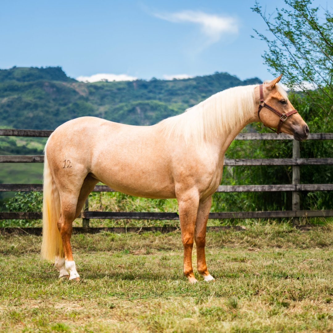 Juan D Ranch Jul 2025-45