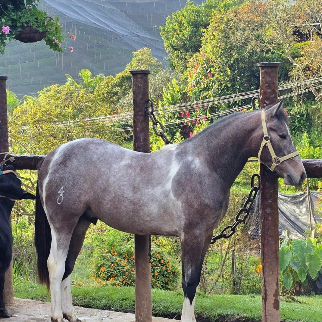 ec7d8a03-a078-479d-ba93-db21a7ae1584